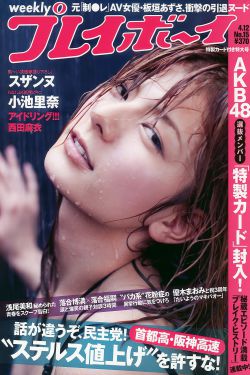 沉香如屑电视剧免费观看55集